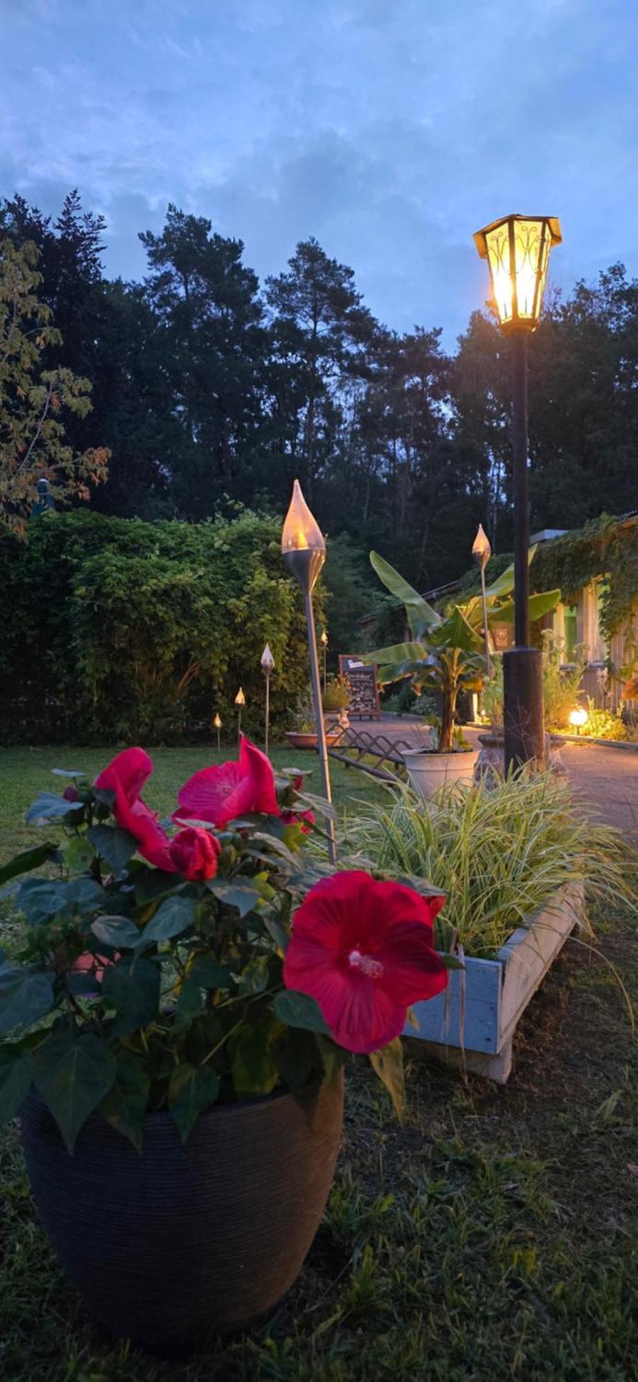 Waldpension Gussow Heidesee Exterior foto